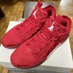 AIR JORDAN 39 28.5cm