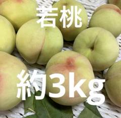 2025年最新】若桃の人気アイテム - メルカリ