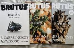 モードにアート、植物と昆虫の特集3冊セット
