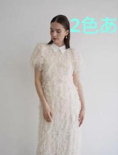 ワンピース Acka lame fringe puff dress lame fringe puff dress – Acka online store