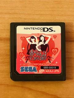 NINTENDO DS ソフト 赤ちゃんはどこからくるの？ SEGA