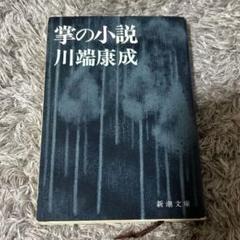掌の小説 川端康成 新潮文庫のサムネイル