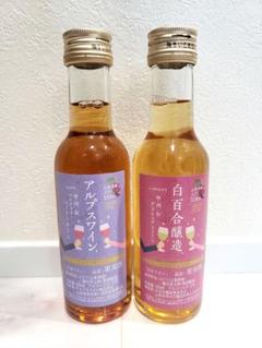 ワイン 2種類 アルプスワイン&白百合醸造