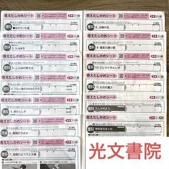 小学3年生理科 大日本図書 光文書院 カラー プリント テスト