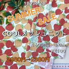 NO,18036-2B 160㎝幅 3.0m メッシュニット　イチゴ　オレンジ