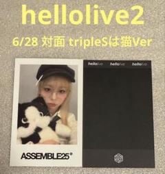 tripleS Assemble25 hellolive2 対面 猫 ヘリン