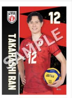 高橋藍 まとめ売り 高橋藍】⭐️金箔サイン入りスペシャルカード⭐️トレカ 2025