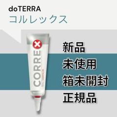 2025年最新】ヘリクリサム ドテラの人気アイテム - メルカリ