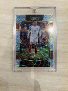 PANINI サッカーカード　Dele Alli イングランド ホロカード
