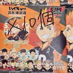未開封　合同練習会　2022　缶バッジ　10個セット　ハイキュー　ファンパーク 未開封 合同練習会 2022 缶バッジ 10個セット ハイキュー ファン