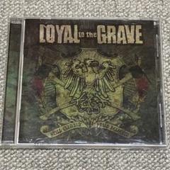 Loval to the Grave / Still Climbin〜のサムネイル