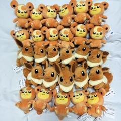 ポケットモンスター ぬいぐるみ イーブイ オタチ ヒメグマ