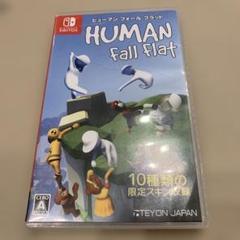 ヒューマンフォールフラットSwitch