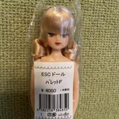 リカちゃんキャッスル✨パレットF