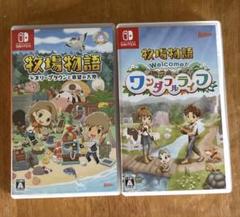 早い者勝ち⭐土日のみ価格⭐⭐Switch　牧場物語　2個セット