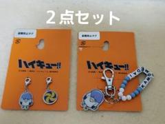 昼神幸郎 カモメ キーホルダー 22個 ハイキュー!! mochocho Vol.2 アクリルキーホルダー 昼神幸郎(昼