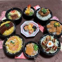 リアルキッチンシリーズ 9個入り クレーンゲーム 景品 丼もの