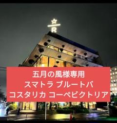 五月の風専用】☆/R スマトラ ブルートバ ＆コスタリカ コーペ