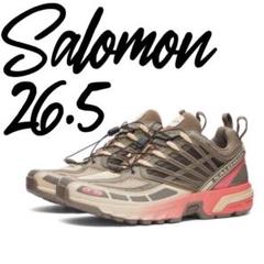 【中古良品】SALOMON Falcon XR CS 26-26.5cm 2025年最新】SALOMON FALCON XR CSの人気アイテム - メルカリ