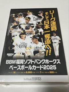 BBM 2012 福岡ソフトバンクホークスカード　新品未開封BOX 29 【金無英 キム・ムヨン】BBM 福岡ソフトバンクホークス 2012