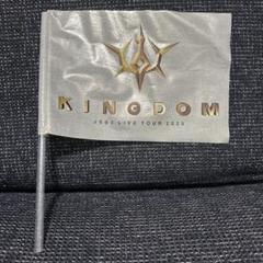 ペンライト フラッグ Kingdom 3代目 ペンライト フラッグ Kingdom 3代目 | Shop at Mercari from