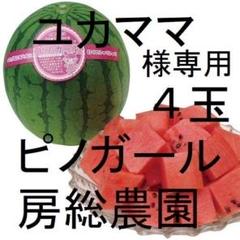 ４玉・メル便・北海道・ユカママ・ピノガール 4玉・メル便・北海道・ユカママ様専用・ピノガール - メルカリ