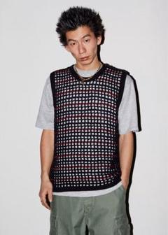 Supreme ニットベスト ベージュ Lサイズ ニットベスト レディース ベスト 高評価 ☆4.69 大きいサイズ