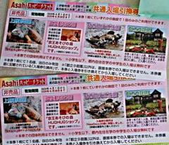 上野動物園 多摩動物公園 共通入場引換チケット