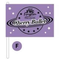 CherryBullet メイ サイン入りトレカ CherryBullet メイ サイン入りトレカ