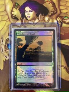 吹きさらしの荒野 Foilの中古 未使用品を探そう メルカリ