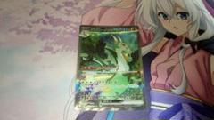 ジャローダ　sar