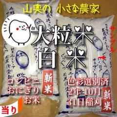 棚田の大粒米 玄米25Kg「標準白米に精米します」超希少
