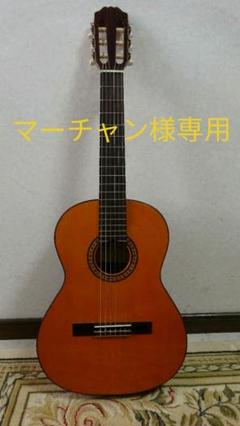 Aria PEPEミニギター PS-53 スペイン製 ソフトケース付