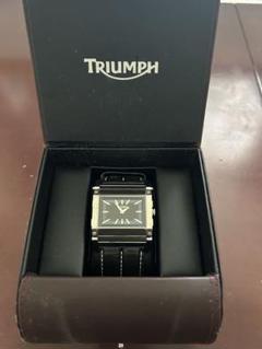 Triumph Men's 3031 | eBay