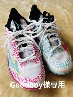 mizuno ミズノ バドミントンシューズ24cm