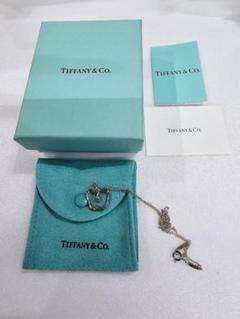 MT003 TIFFANY エルサペレッティ アップル 925刻印 シルバー