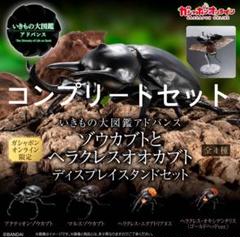 いきもの大図鑑アドバンス　ゾウカブトとヘラクレスオオカブト　コンプまとめ売り Amazon.co.jp: いきもの大図鑑アドバンス ゾウカブトと