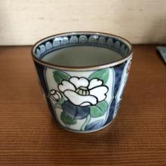 有田焼 六代 佐藤走波 染錦草花文赤濃高杯小鉢揃