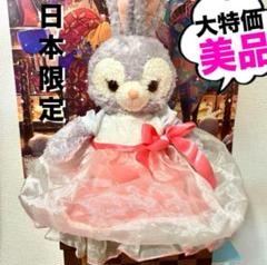 【美品】ディズニーぬいぐるみ　プリンセスシリーズドレスのみ販売　ディズニーストア