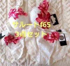 サルート Tバック ノーマルショーツ ブラ F65 3点セット/ 補正