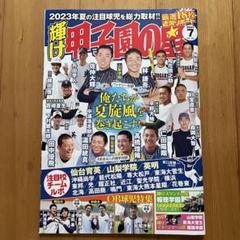 輝け甲子園の星 2023年7月号のサムネイル