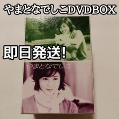 やまとなでしこ DVD-BOX〈6枚組〉