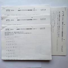 成基学園　5年オープンテスト9回分・5年総まとめテスト・6年オープンテスト２回分 成基学園 5年オープンテスト9回分・5年総まとめテスト・6年