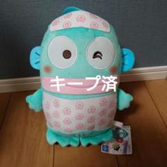 サンリオ　ハンギョドンぬいぐるみ