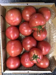 熊本県産大玉トマト 1Kg