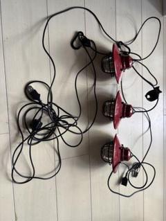 BAREBONES ベアボーンズ エジソンストリングライト LED レッド 赤色 BAREBONES ベアボーンズ ランタン 3連 エジソン ペンダント