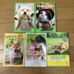 動物に関する児童書5冊セット
