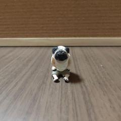 朝隈俊男 犬の生活　パグ フィギュア 白いシャツ