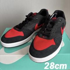 【新品】NIKE SB ALLEYOOP アリウープ CJ0882-006