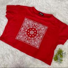 アナップ ANAP Tシャツレディース 半袖 フェイズリー ショート丈 255